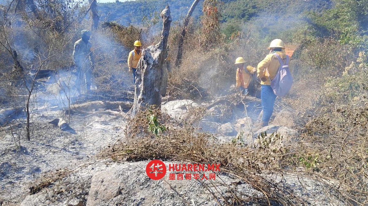 阿卡普尔科（Acapulco）埃尔韦拉德罗（El Veladero）国家公园（Parque Nacional El Veladero）4.41公顷土地被大火烧毁