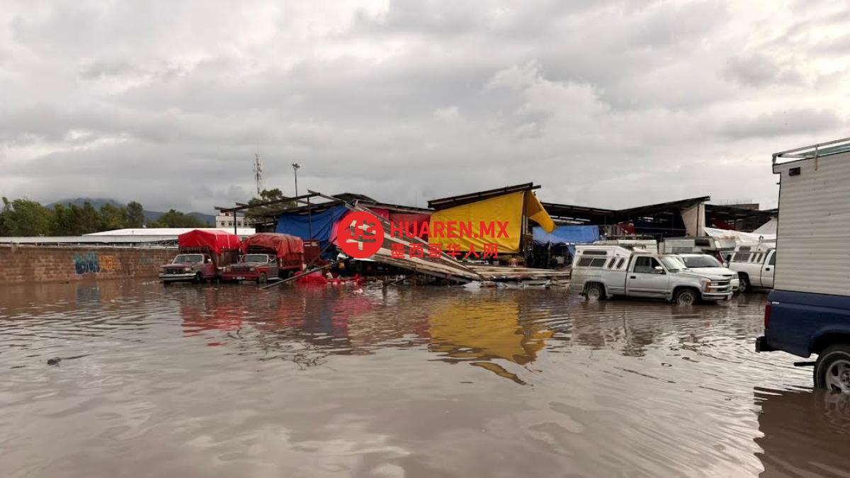 伊达尔戈州特佩希德尔里奥地区降雨引发多处影响