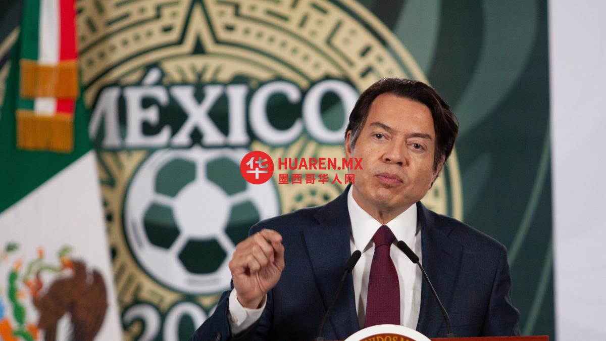 马里奥·德尔加多批墨西哥教师工会损害世界杯形象