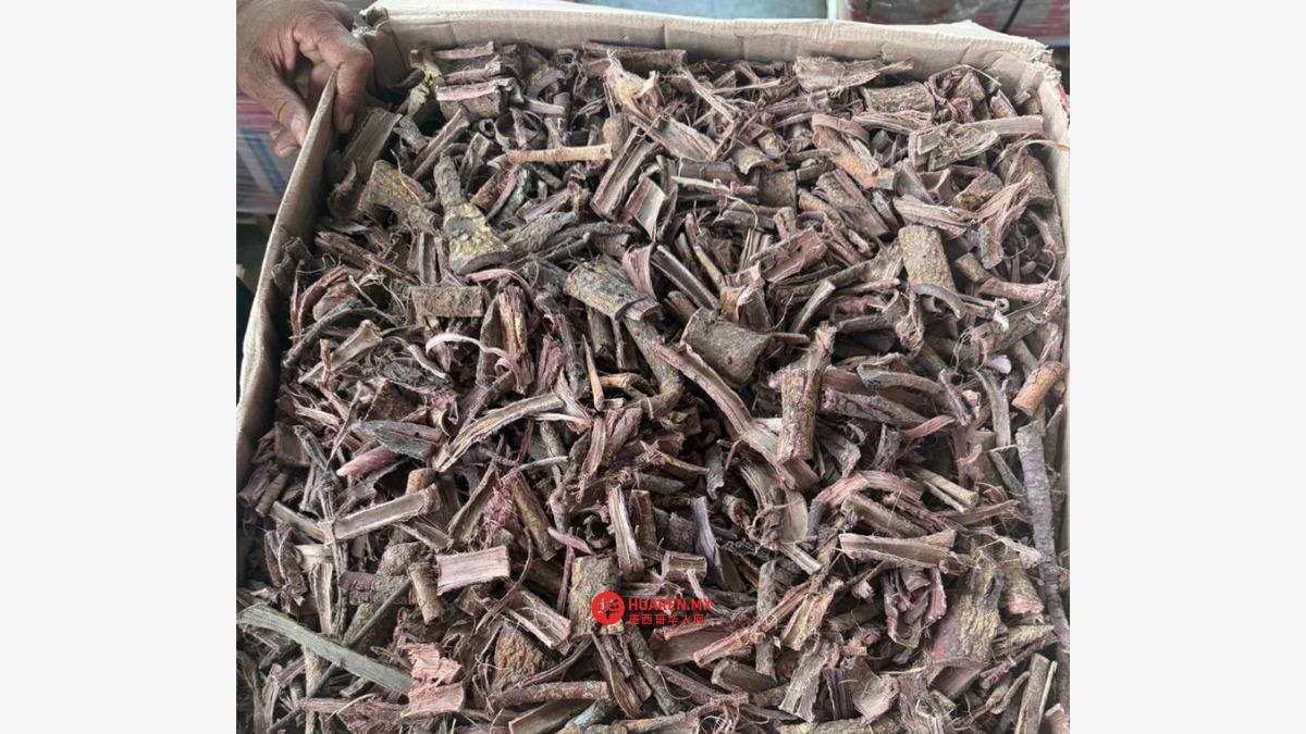 海军与海关查获1.8吨特佩斯库伊特树皮