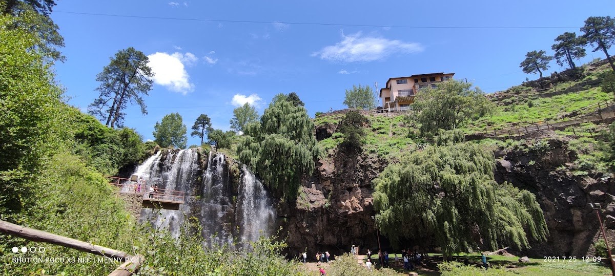 瓜乔奇