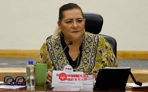 塔德伊（Taddei）警告：女性在政治领域面临日益严重的网络暴力行为
