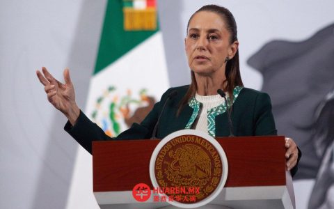 法律咨询部门正在分析参议院提交的文件，相关答复将于明天给出（Sheinbaum）