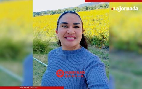 在瓜纳华托州（Guanajuato），一名替代性司法中心律师遭谋杀。