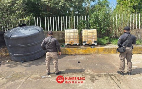 在韦拉克鲁斯（Veracruz），共缴获超过2000升的“huachicol”（非法酒类）及24辆相关车辆。