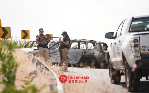 墨西哥的有组织犯罪：令人担忧的分析