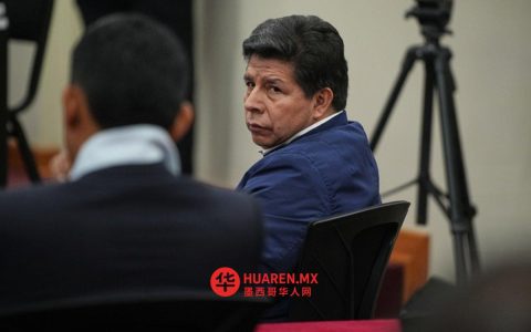 前总统佩德罗·卡斯蒂略（Pedro Castillo）的律师表示，对他的判决是不合理的