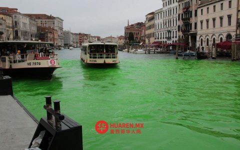 活动人士将威尼斯（Venecia）大运河涂绿，抗议气候变化