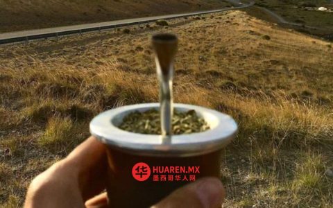 “马黛茶全国日”（Día Nacional del Mate）：阿根廷人团结的仪式