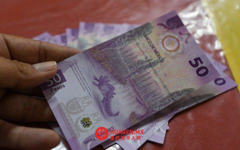伊内吉：近50%成年人沦为腐败受害者，腐败现象仍存（Iñegi）