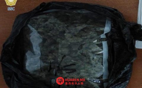 一名涉嫌参与在贝努斯蒂亚诺·卡兰萨（Venustiano Carranza）发现包裹尸体的女性被拘