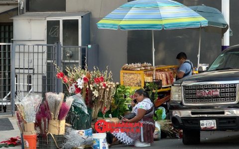 2024年墨西哥零售贸易销售额增长4.3%（Inegi）