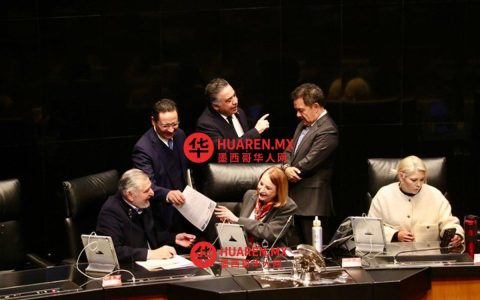 参议院通过10名FGR候选人名单，Ernestina Godoy在列