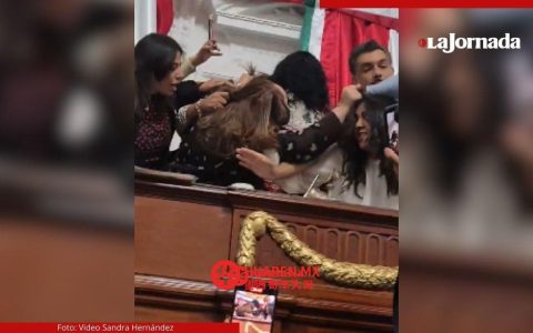 墨西哥城（Ciudad de México）国会议员热议透明度改革，纷纷用手拨弄头发