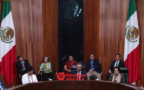 TEPJF提议撤销人民团结党在瓦哈卡州（瓦哈卡州）的注册资格