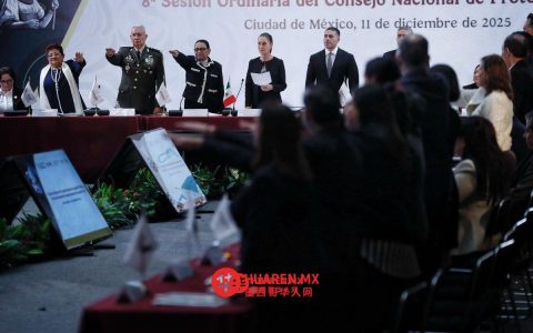 谷歌撤下AI替代Sheinbaum广告