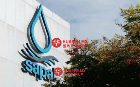 一名 SAPAL 公司员工因性骚扰下属被解雇