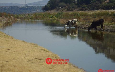 前泛美主义者执政时期州长们否认在水资源分配中存在违规行为。