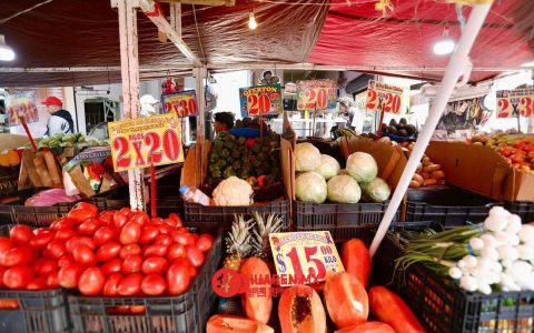墨西哥城（CDMX）日垃圾产生量激增25%