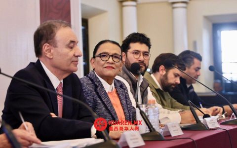 卡纳尼亚矿工司法改革计划涉资超2000万比索（Canaña）
