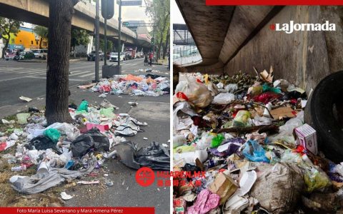在首都地区，人们很难做到垃圾分类；乱扔垃圾的现象非常普遍。