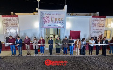 是时候让女性摆脱暴力了（¡Es hora de que las mujeres se liberen del violencia!）