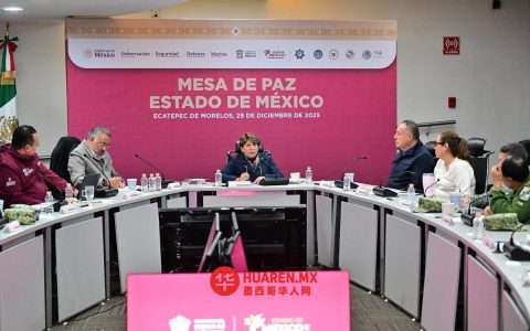 根据FGJEM的数据，在埃卡特佩克（Ecatepec），25%的犯罪案件属于高影响力犯罪（即对社会造成严重后果的犯罪），33%的犯罪案件为故意杀人罪。