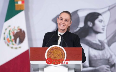 Sheinbaum称国会将于2026年确定国家经济研究所（INE）三个咨询委员会的具体成员。