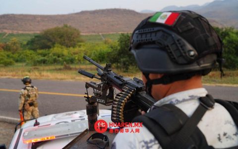 根据“米却肯和平计划”（Plan Michoacán por la Paz），共有278人被逮捕。
