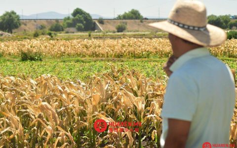 普埃布拉农民因无耕地迁往美国（Puebla）