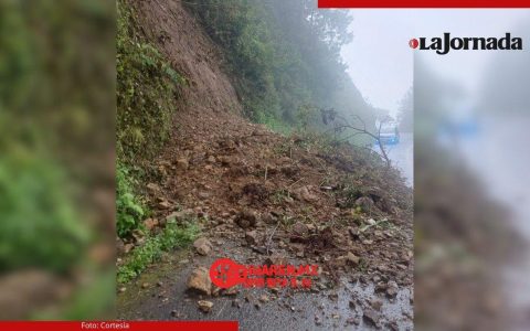 恰帕斯山脉（Sierra de Chiapas）道路恶化冲击农民生计