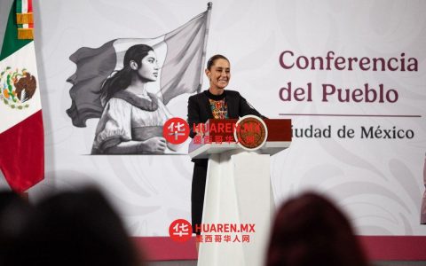 启动“健康药房”（Farmacias del Bienestar）项目；推进“逐户健康服务”（Salud casa por casa）计划