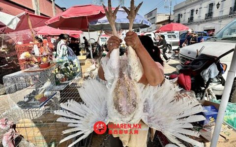 圣诞晚餐食材涨价，重新加热或成“不划算”选择（Reheating Meals Faces Risks as Ingredients Rise in Price）