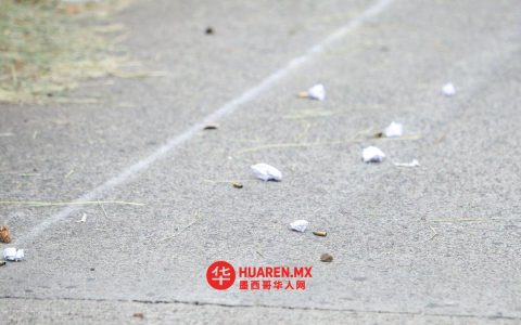 一名青少年在AO市市政厅（Acapulco）陵墓中杀害了一对夫妇。