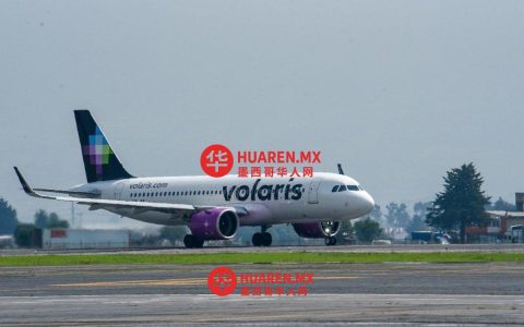 你否定了 SICT 认为 Volaris 通过租赁飞机违反宪法的质疑。