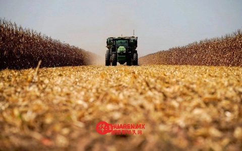 美国推出1200亿欧元农民援助计划（1200 millones de euros）