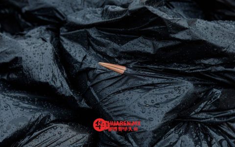 禽流感致西班牙数百只白鹳死亡（数百只白鹳死亡）