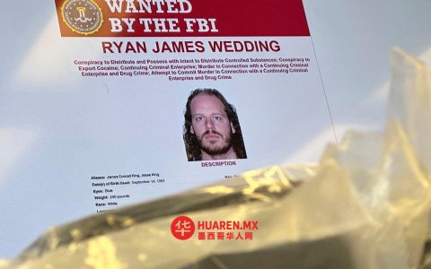 确保车辆和艺术品与瑞安婚礼相关（墨西哥城、埃莫西约）