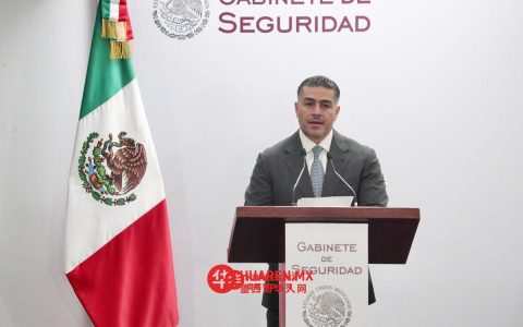 米却肯州警方逮捕勒索柠檬生产商嫌疑人（Michoacán）