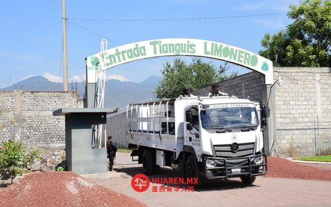 米却肯州计划：不到一个月内逮捕155人（Michoacán）