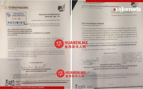 戈多伊（Godoy）、博霍尔克斯（Bojórquez）和萨尔萨（Zarza）——墨西哥革命党（FGR）三强齐发竞逐总统席位