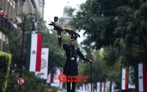 国防部门首次将GN公司和墨西哥航空（墨西哥航空）纳入其2026年预算计划。