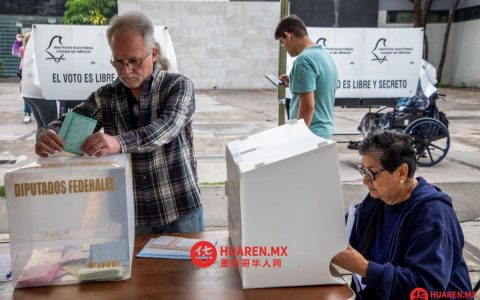 在墨西哥，女性在投票中的比例占主导地位，而男性的投票参与率却在下降：国家统计与信息研究所（INE）的数据显示了这一趋势。