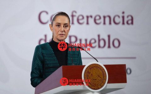 谢因鲍姆驳回阿隆索·曼努埃尔·洛佩斯·奥夫拉多尔（AMLO）三种方案，感谢其支持