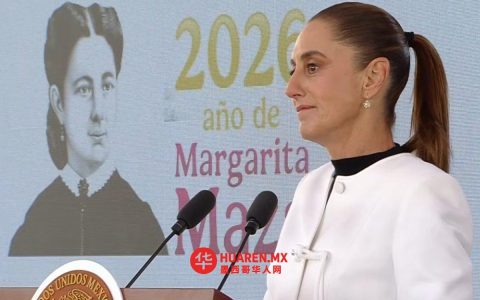 谢因鲍姆：墨西哥在安全领域已取得显著成果，美国必须在打击毒品消费和武器贩运方面采取更多行动