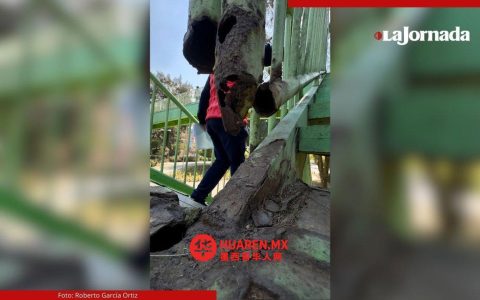 墨西哥城埃尔米塔（Ermita）人行天桥年久失修，安全隐患加剧