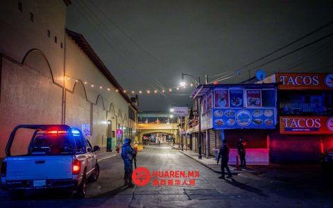 恩塞纳达（Ensenada）调查机构负责人遭杀害