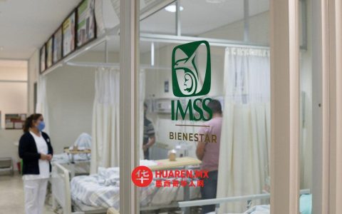 OPD、IMSS与福利部：工人、工会与全民医疗体系
