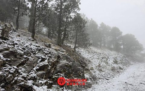新莱昂州27日迎冷锋降雪，华人出行需留意路况变化