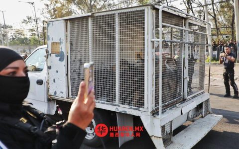 布洛克居民抗议驱逐方济各会收容所流浪狗